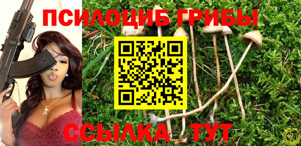Псилоцибиновые грибы Cubensis Алапаевск