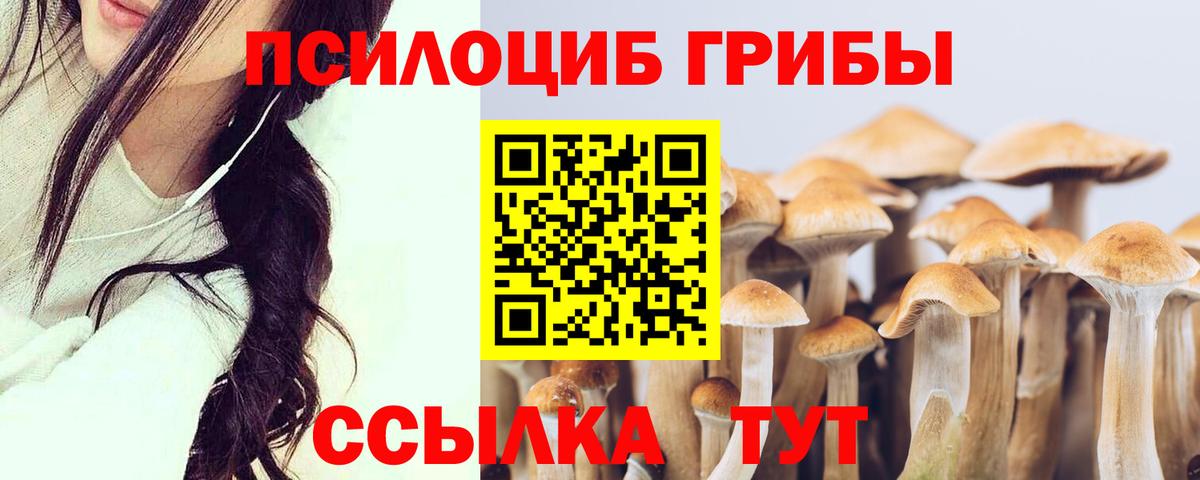 Псилоцибиновые грибы мухоморы  Вход с VPN  Галлюциногенные грибы Psilocybine cubensis  Алапаевск 